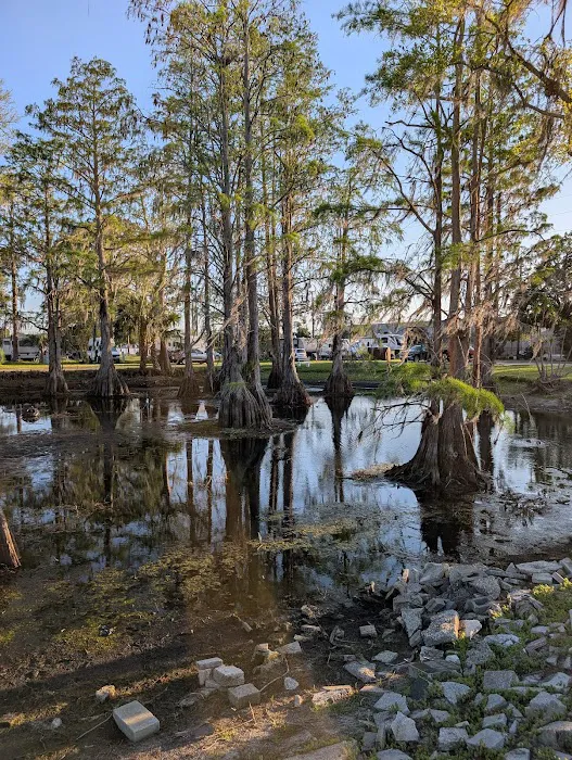 RV RESORT PARK Picture 10