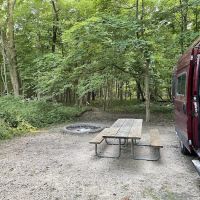 Canvasback Cove ico