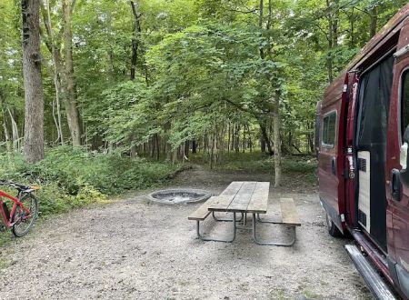 Canvasback Cove