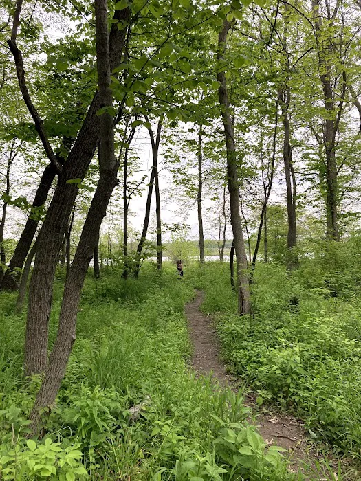 Shabbona Lake State Park Campground Picture 10