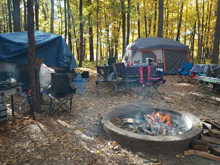 Shabbona Lake State Park Campground Picture 9