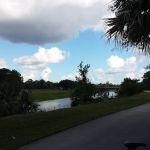 Lakeshore Management