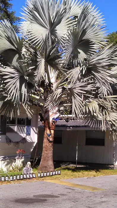 Town & Country Mobile Home Park Picture 5