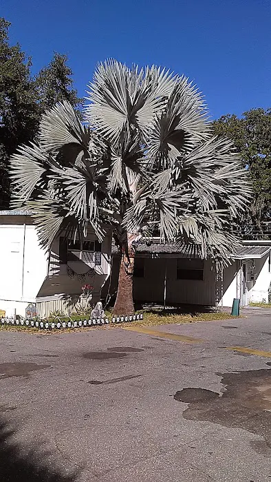 Town & Country Mobile Home Park Picture 7