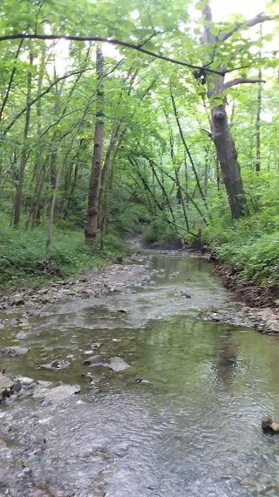 Youth Group Campground Picture 3