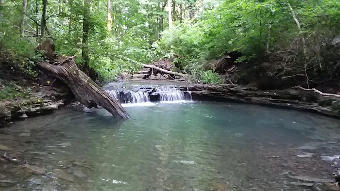 Youth Group Campground Picture 4