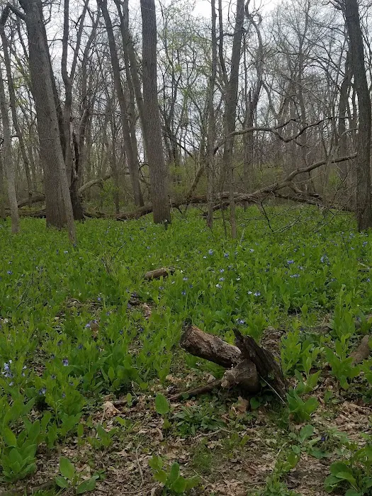 Starved Rock State Park Campground Picture 6