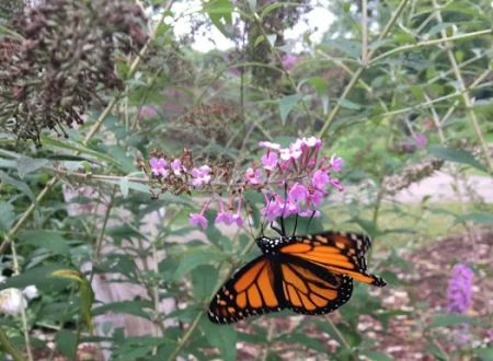 Nature's Way RV Park
