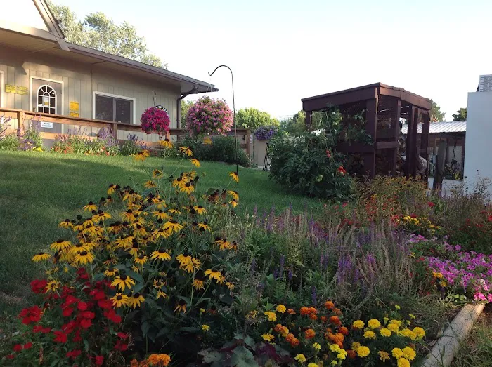 Chicago Northwest KOA Holiday Picture 9