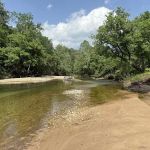 Wilson's Clear Creek Camp