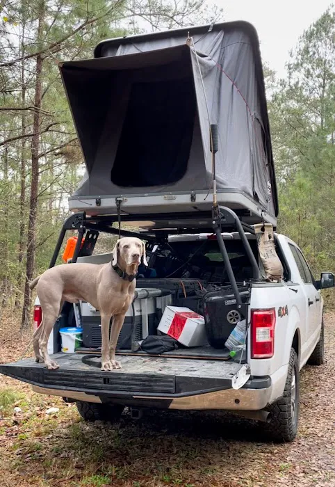 Goat Camp Picture 5