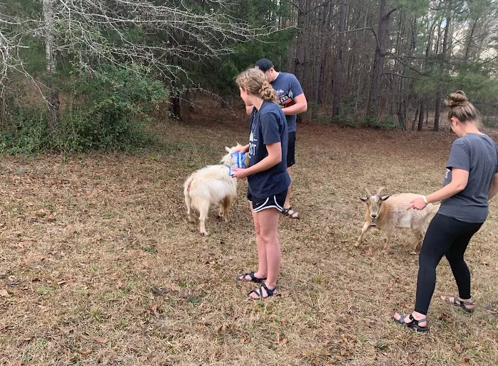 Goat Camp Picture 1