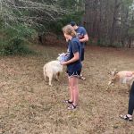Goat Camp