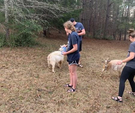 Goat Camp