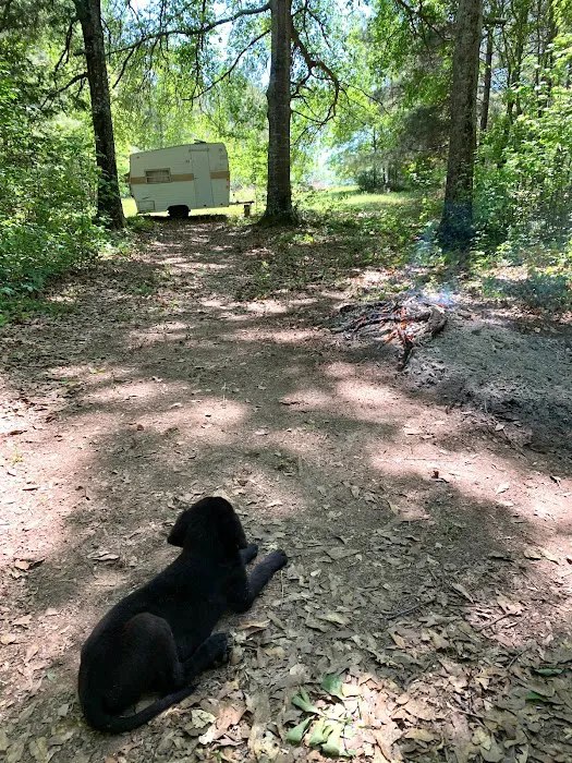 Goat Camp Picture 3