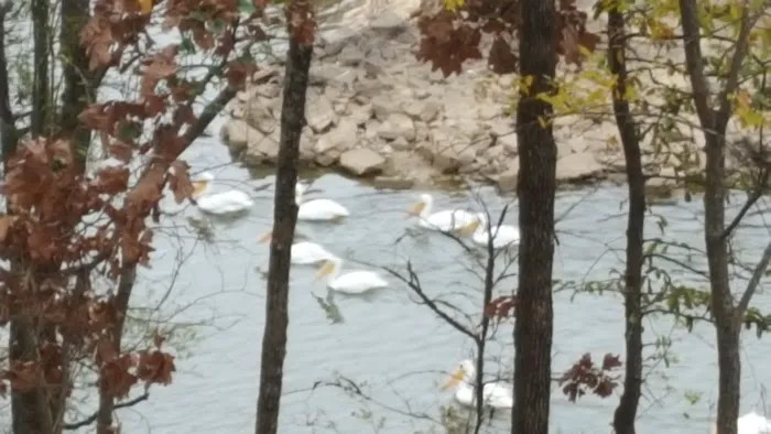 Lewisburg Bay RV Park Picture 9