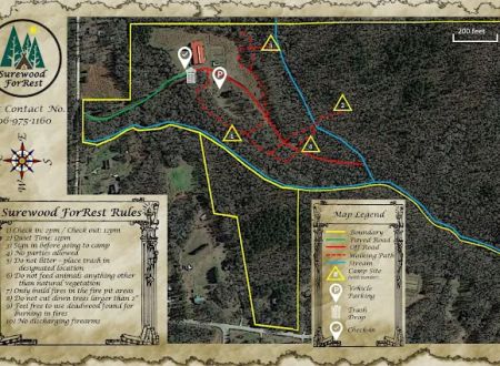 Surewood ForRest