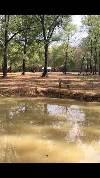 Talley Lane Rv Park LLC Picture 6