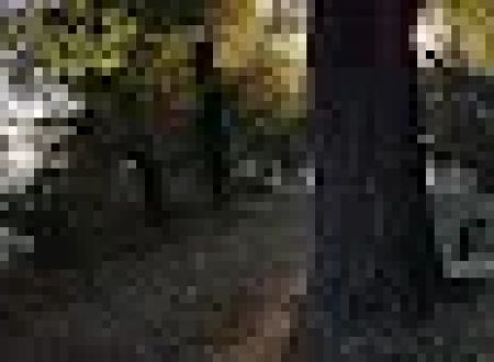 Cherokee Park RV Park