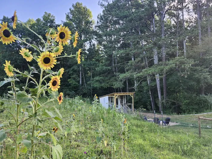 Rolling Ridge Stays & Flower Farm Picture 6