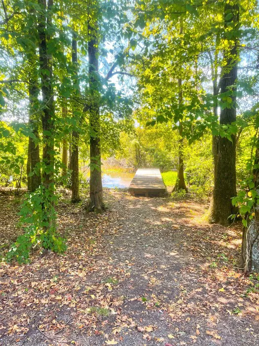 Adventure RV Picture 8
