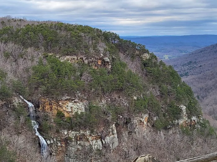 Cloudland Canyon Walk-In Campground Picture 1