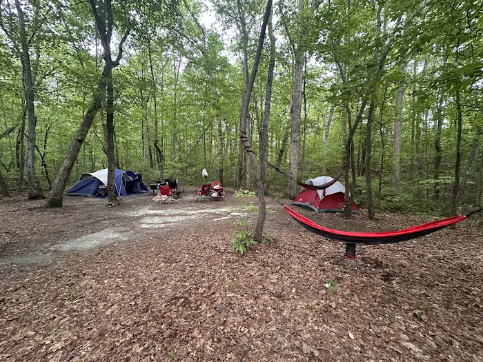 Cloudland Canyon Walk-In Campground Picture 9
