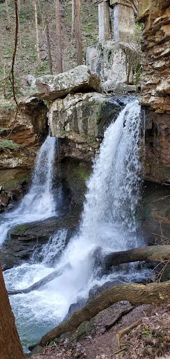 Cloudland Canyon Walk-In Campground Picture 6