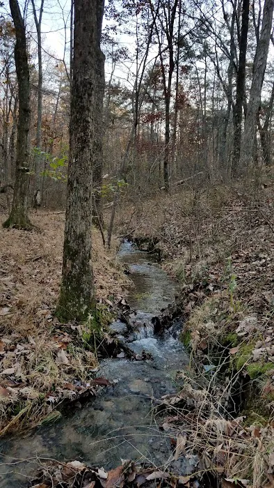 Cloudland Canyon Walk-In Campground Picture 8