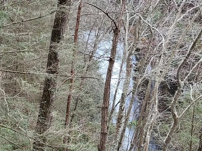 Cloudland Canyon Walk-In Campground Picture 3