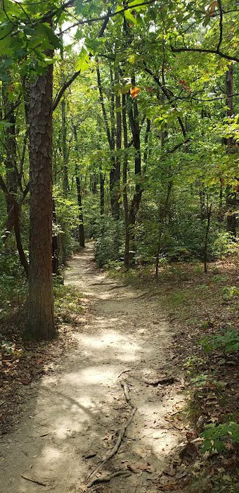 Cloudland Canyon Walk-In Campground Picture 10