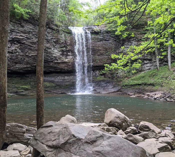 Cloudland Canyon State Park West Rim Campground Picture 9