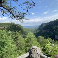 Cloudland Canyon State Park West Rim Campground ico