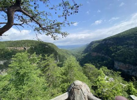 Cloudland Canyon State Park West Rim Campground