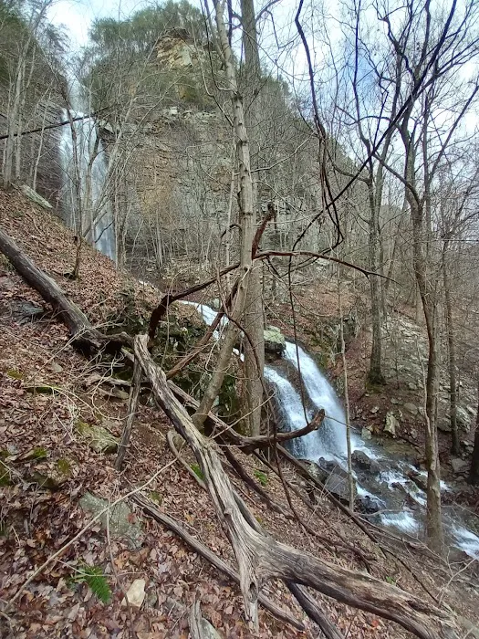 Cloudland Canyon State Park West Rim Campground Picture 6
