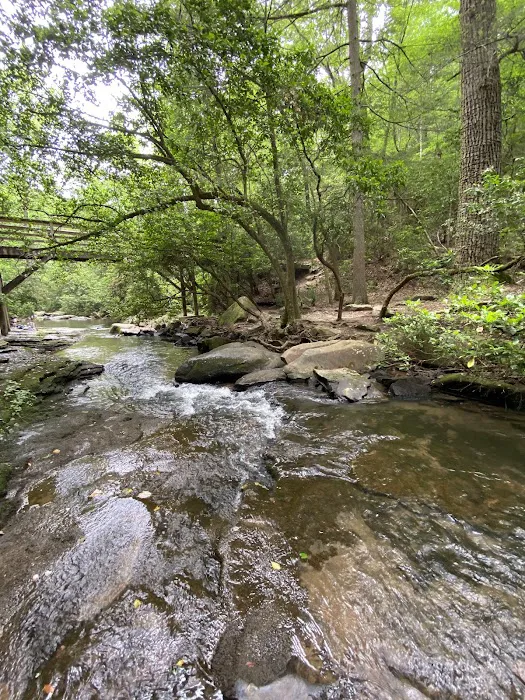 Cloudland Canyon State Park West Rim Campground Picture 2