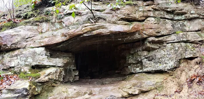 Cloudland Canyon State Park Yurt Village Picture 4