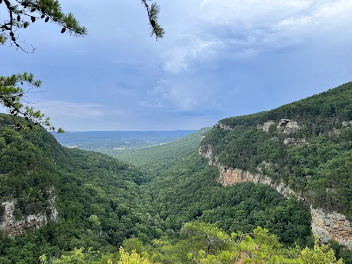 Cloudland Canyon State Park Yurt Village Picture 10