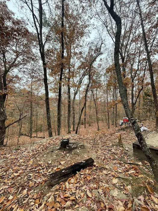 Cloudland Canyon Pioneer Campsites Picture 2