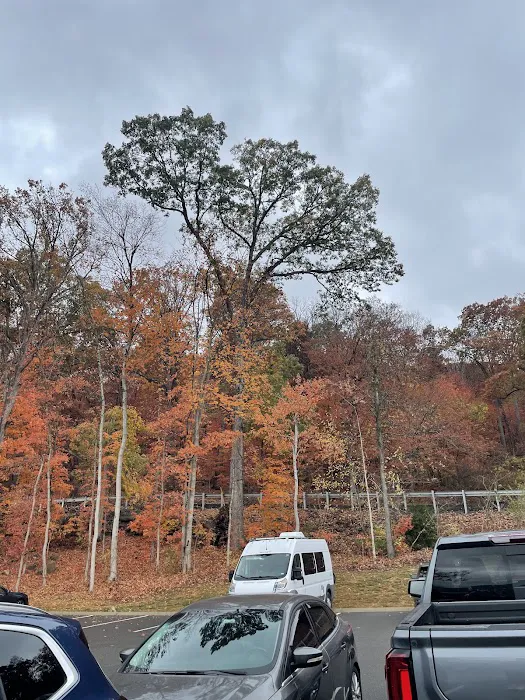 Cloudland Canyon Pioneer Campsites Picture 6