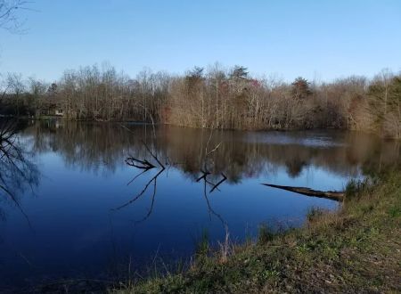 Johns Cabins