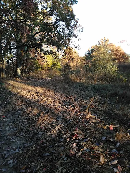 Sawmill Lake Campsite - Crockford Pigeon Mountain WMA Picture 9