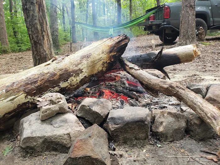 Sawmill Lake Campsite - Crockford Pigeon Mountain WMA Picture 8