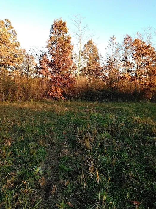 Sawmill Lake Campsite - Crockford Pigeon Mountain WMA Picture 7