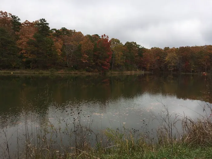 Sawmill Lake Campsite - Crockford Pigeon Mountain WMA Picture 10