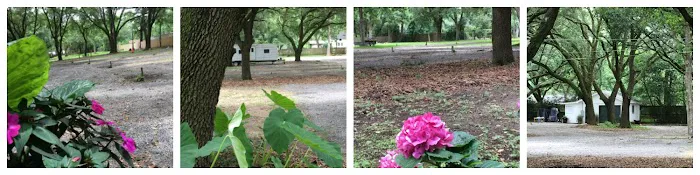 Whispering Oaks RV Park Mobile AL (Tillman's Corner/Theodore) Picture 6