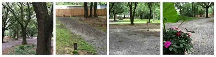 Whispering Oaks RV Park Mobile AL (Tillman's Corner/Theodore) Picture 8