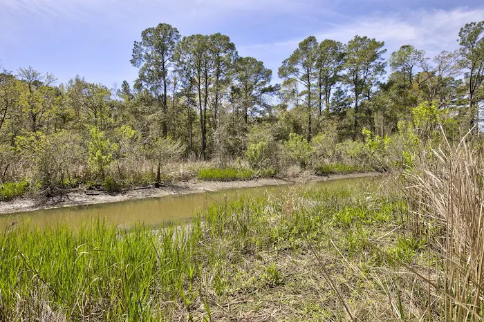 Southwood RV Park Picture 4