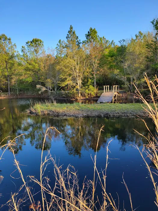 Mossy Oak Campground Picture 6