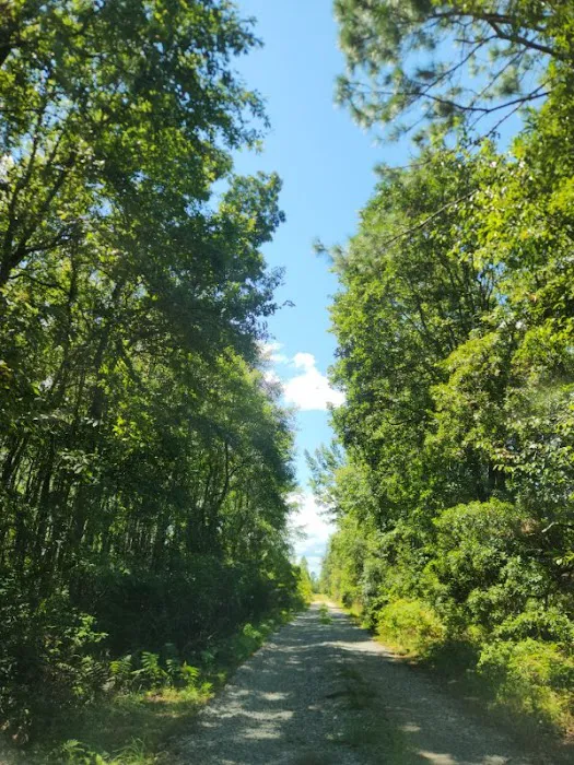 Hidden Lake Estates Picture 6